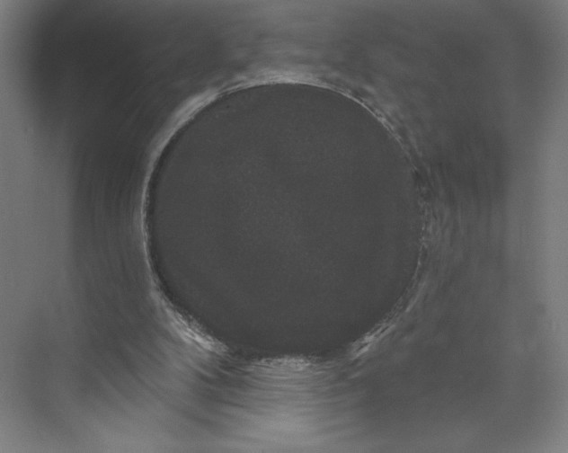 X0000074010104200609061100