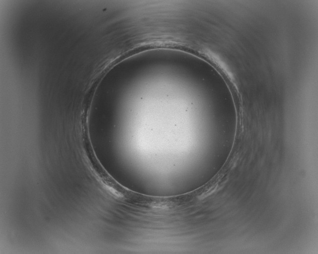 X0000074010105200609061100