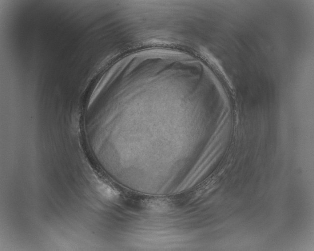 X0000074010106200609061100