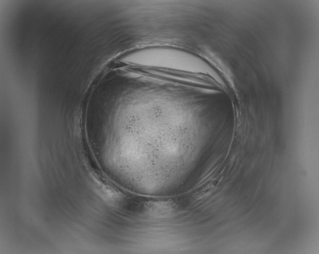 X0000074010107200609061100