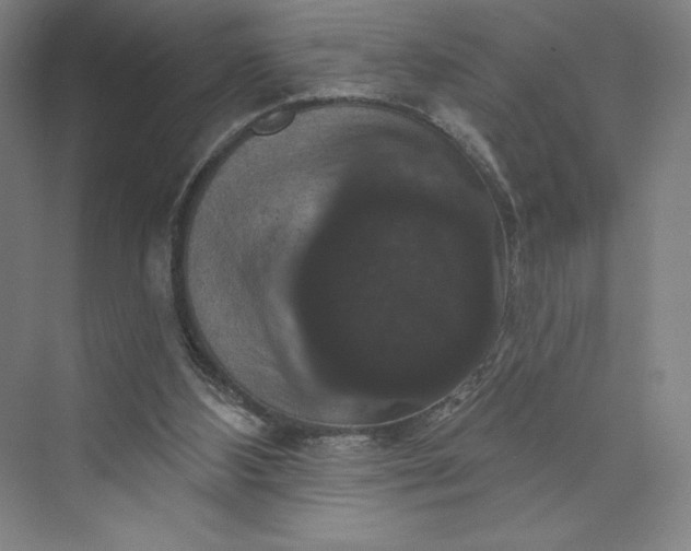 X0000074010108200609061100