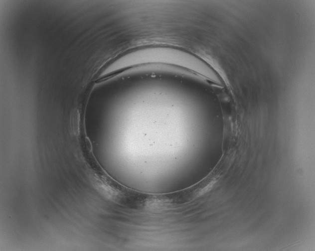 X0000074010109200609061100