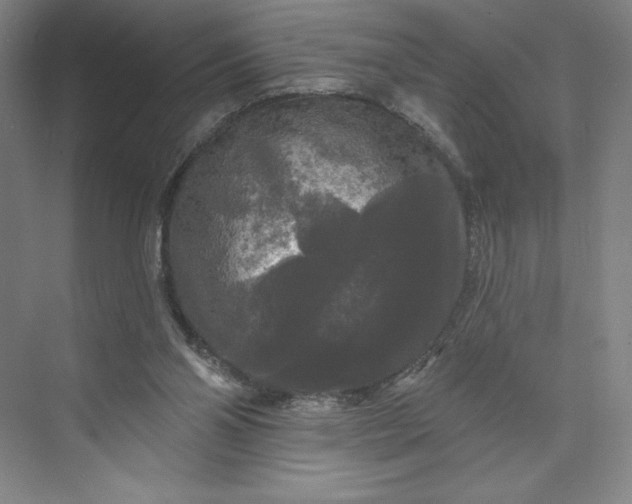 X0000074010110200609061100