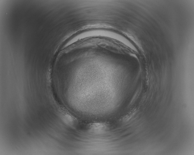 X0000074010111200609061100