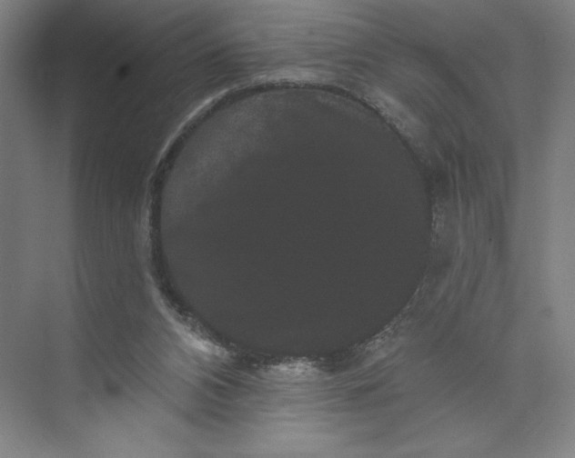 X0000074010112200609061100