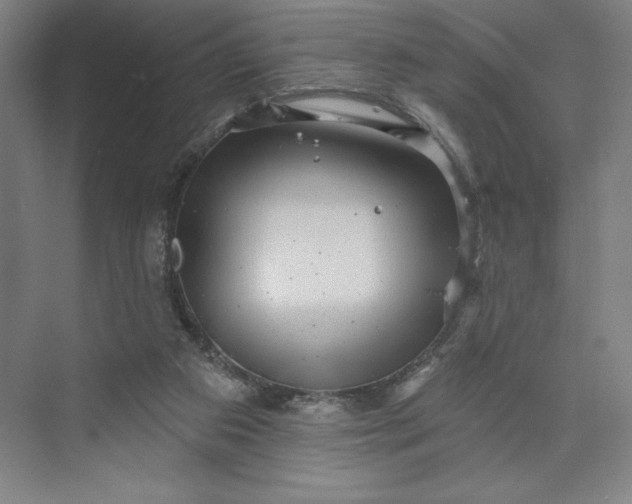 X0000074010113200609061100