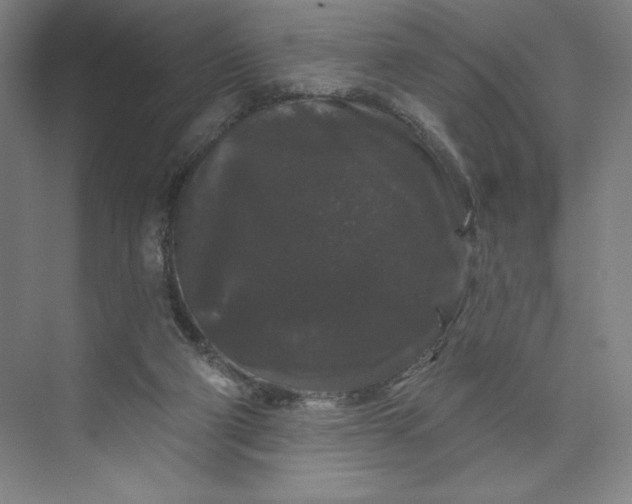 X0000074010114200609061100