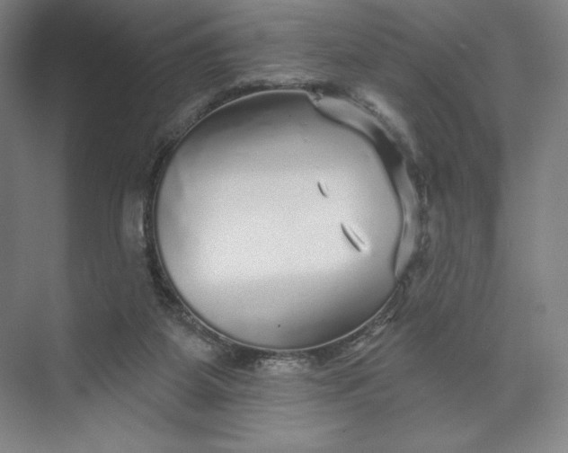 X0000074010115200609061100