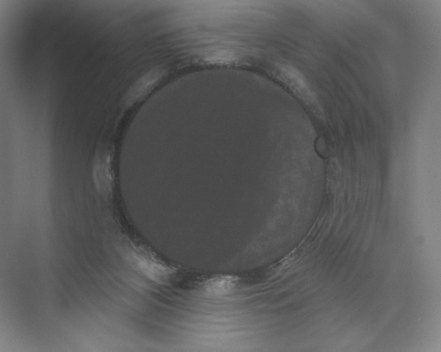 X0000074010116200609061100