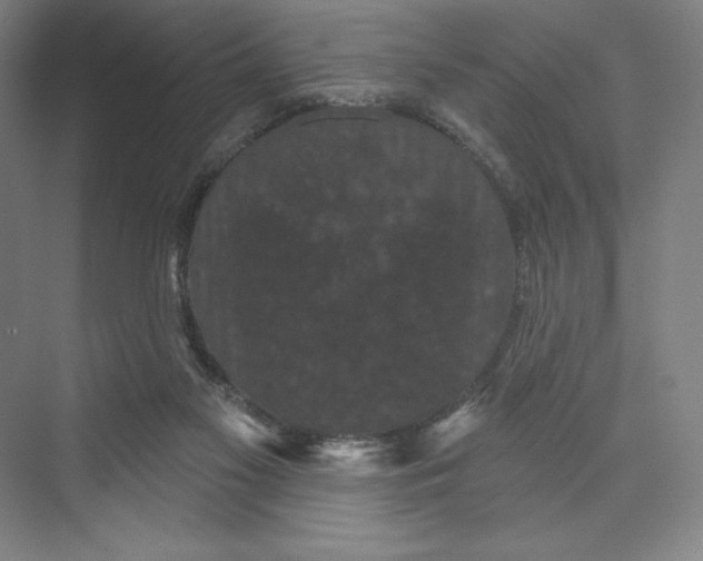 X0000074010117200609061100