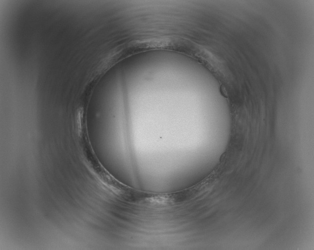 X0000074010118200609061059