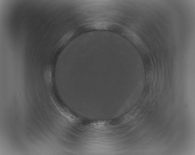 X0000074010120200609061059