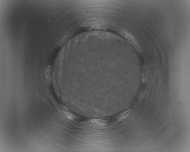 X0000074010121200609061059