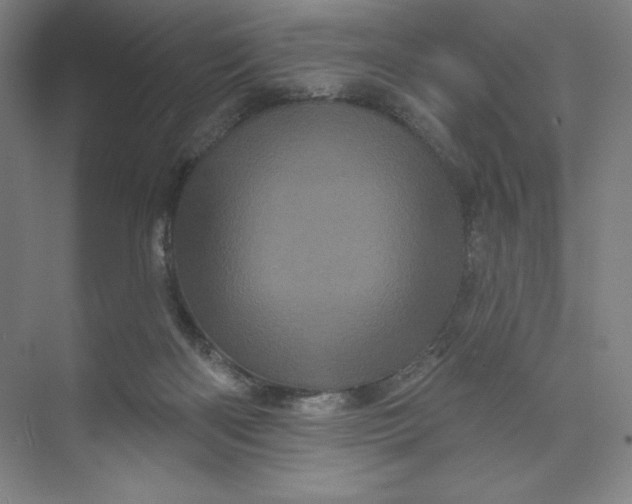 X0000074010122200609061059