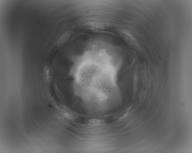 X0000074010123200609061059