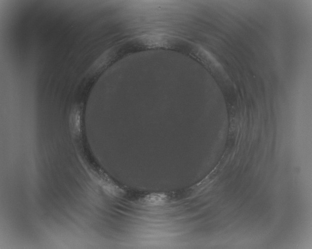 X0000074010124200609061059