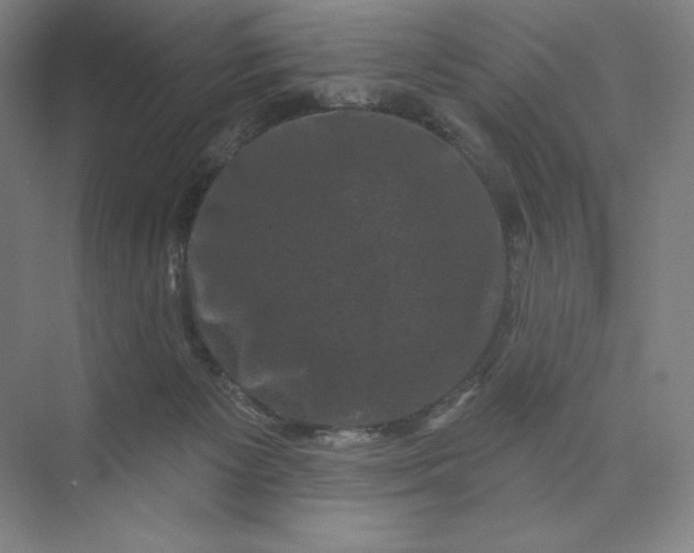 X0000074010125200609061059