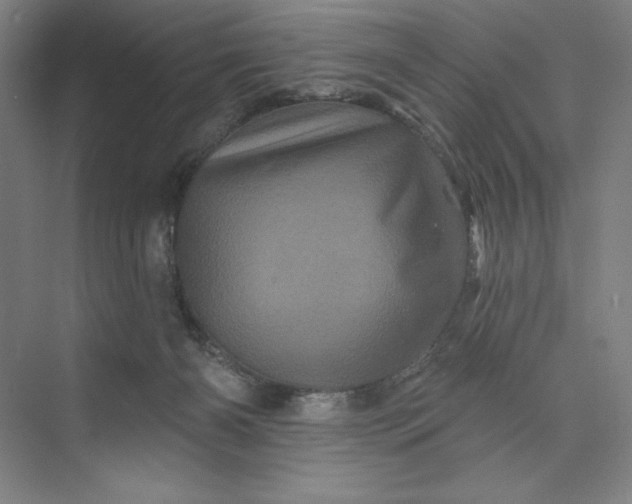 X0000074010126200609061059