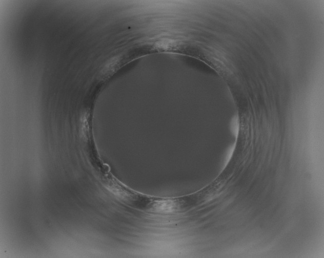 X0000074010127200609061059