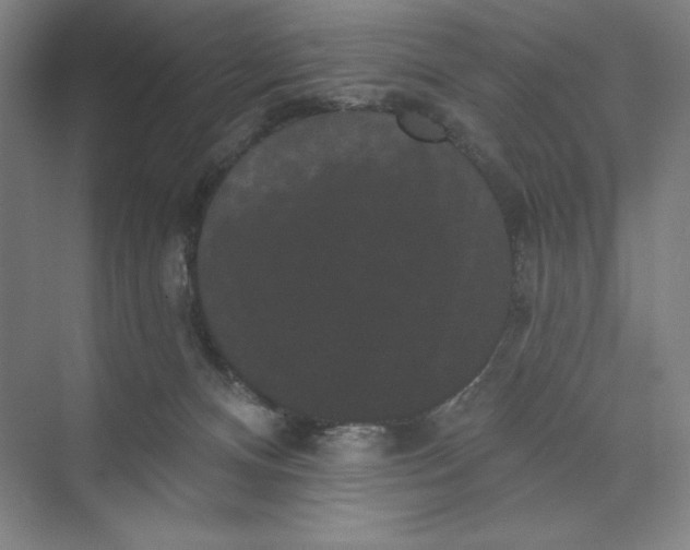 X0000074010128200609061059