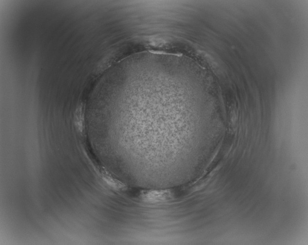 X0000074010129200609061059