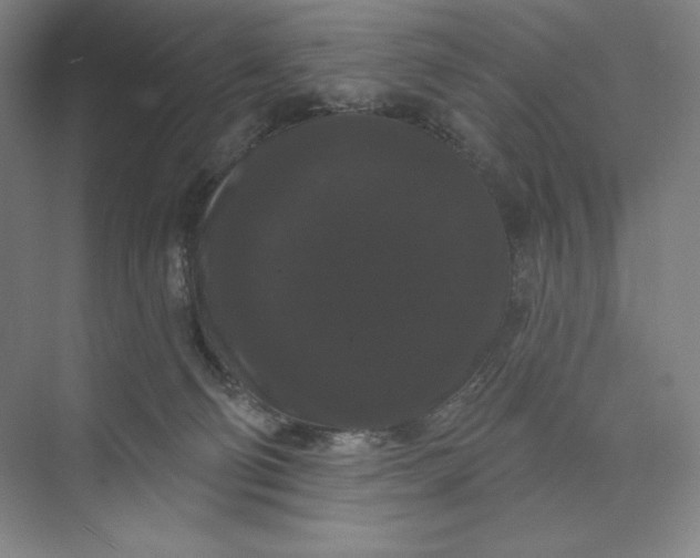 X0000074010130200609061059