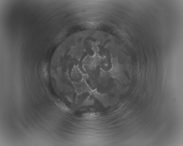 X0000074010131200609061059