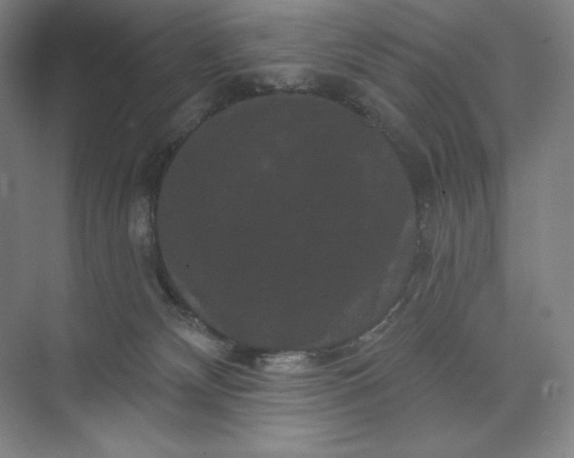 X0000074010132200609061059