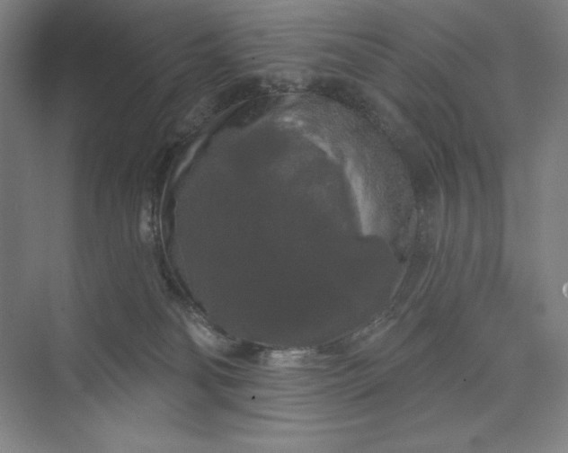 X0000074010134200609061059