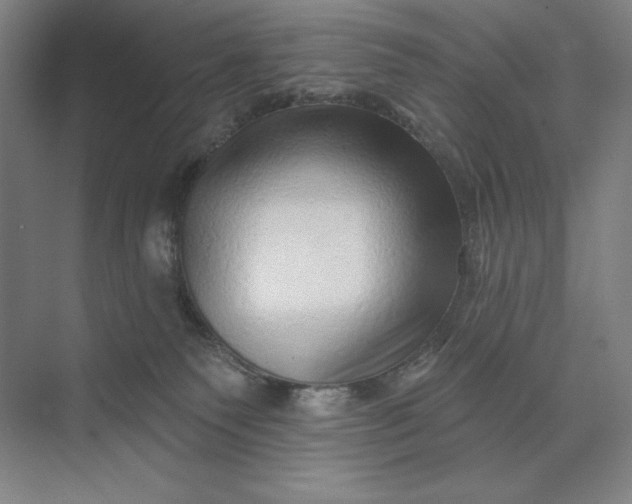 X0000074010135200609061059