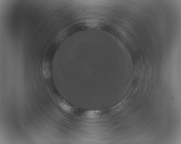 X0000074010136200609061059