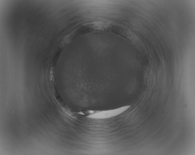 X0000074010137200609061059