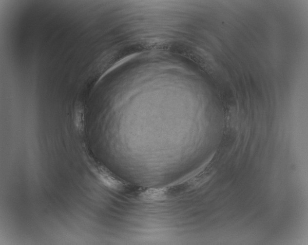 X0000074010138200609061059