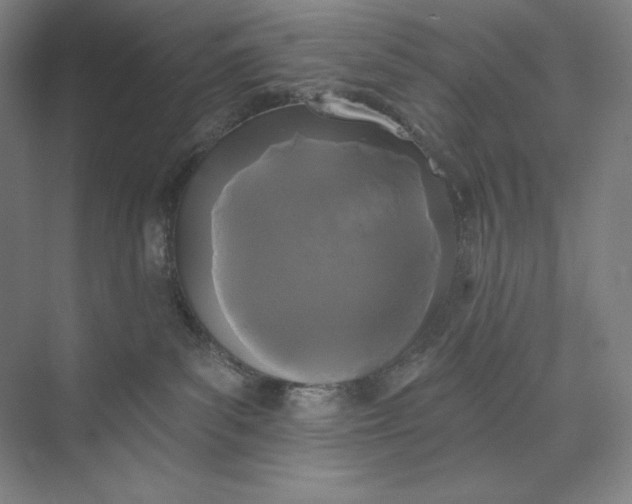 X0000074010139200609061059