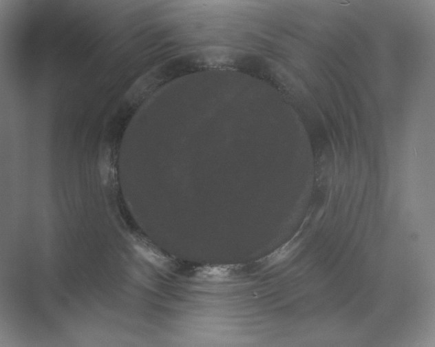 X0000074010140200609061059