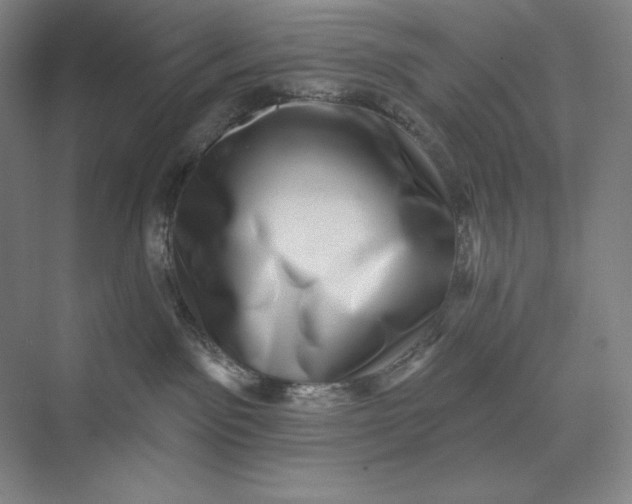 X0000074010141200609061059