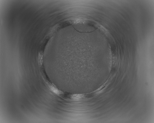 X0000074010142200609061059