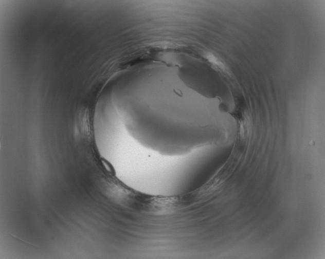 X0000074010143200609061059