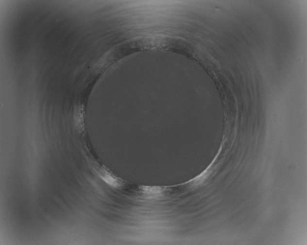 X0000074010144200609061059