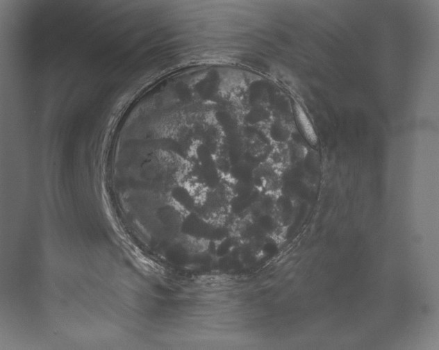 X0000074010145200609061058