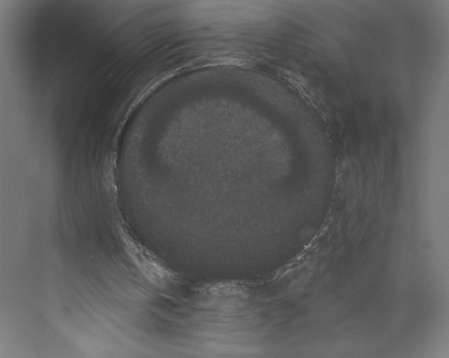 X0000074010146200609061058