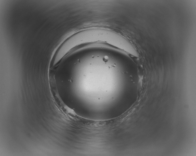 X0000074010148200609061058