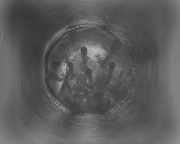 X0000074010149200609061058