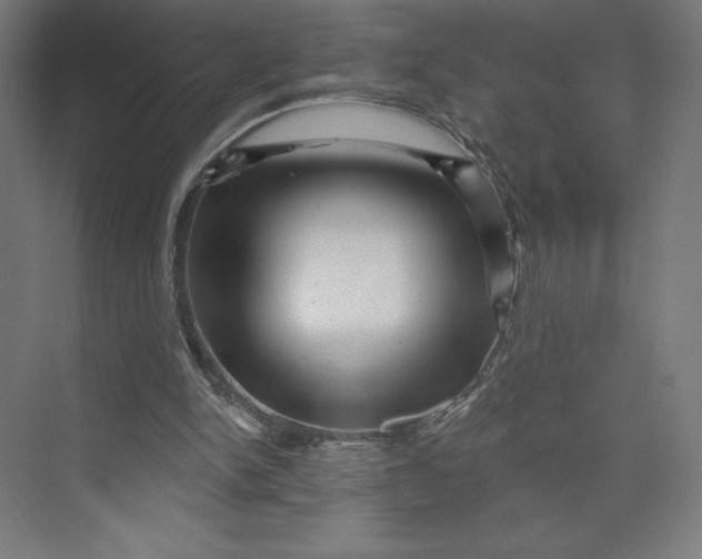 X0000074010150200609061058