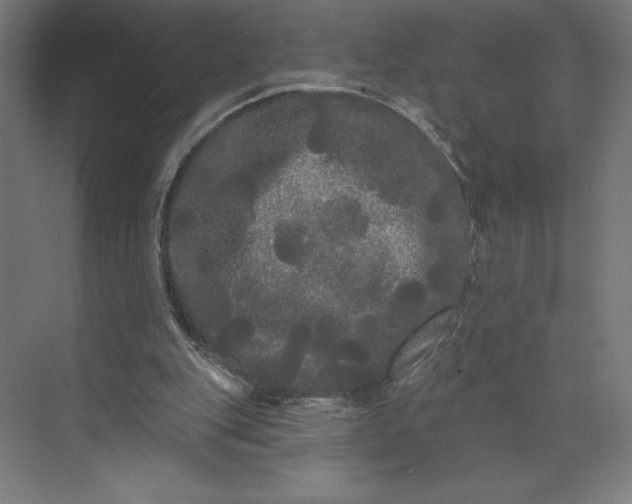 X0000074010151200609061058