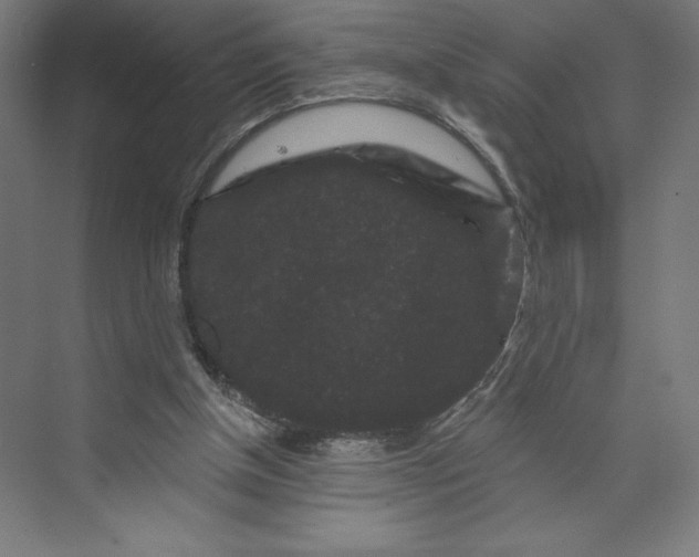 X0000074010154200609061058