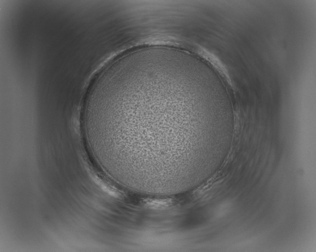 X0000074010155200609061058