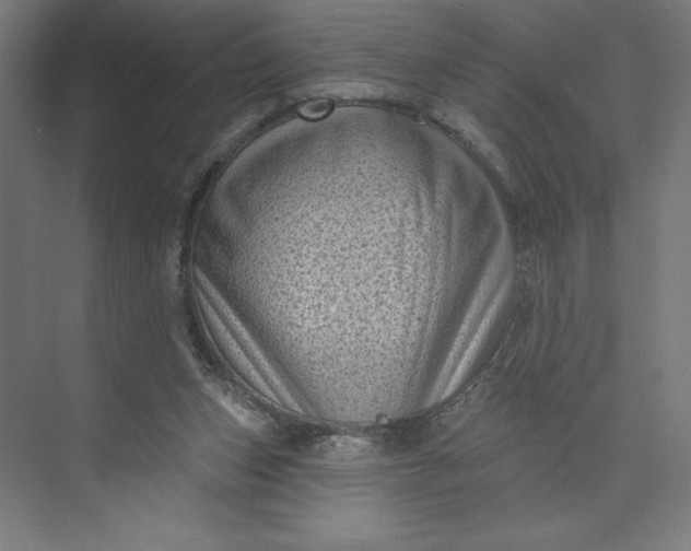 X0000074010159200609061058