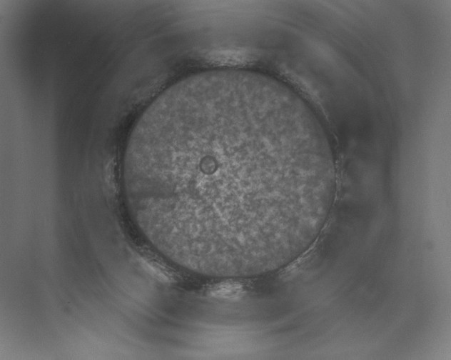 X0000074010162200609061059