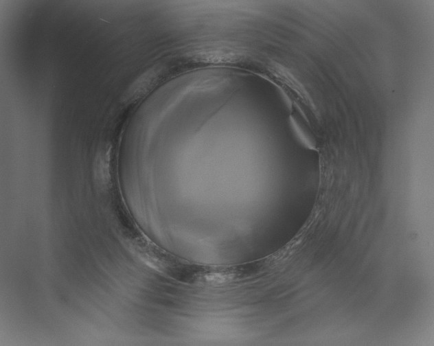 X0000074010163200609061059